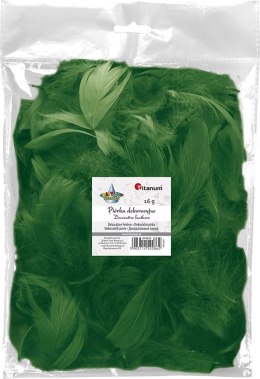 Piórka Craft-Fun Series zielony ciemny Titanum Titanum