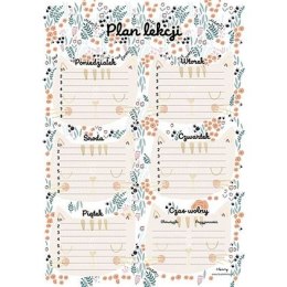 Plan lekcji koty Henry (5905701482566) Henry