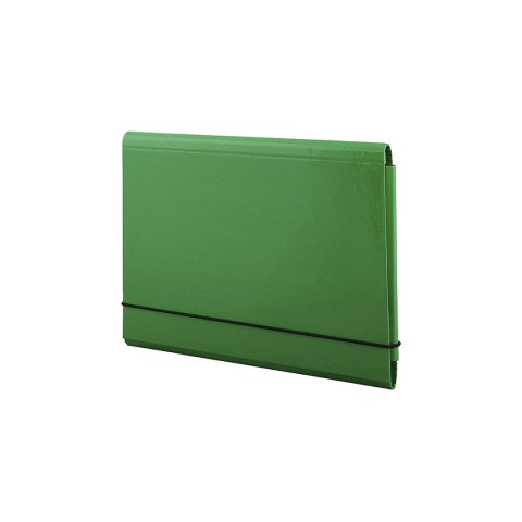 Teczka kartonowa Penmate (TT7711) Penmate