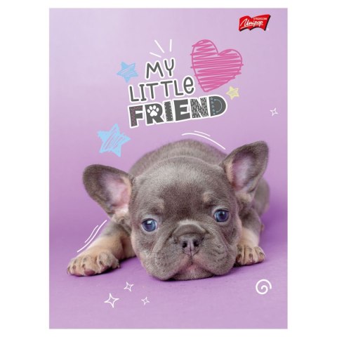 Zeszyt MY LITTLE FRIEND A5 32k. 70g krata Unipap Unipap