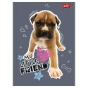 Zeszyt MY LITTLE FRIEND A5 32k. 70g krata Unipap Unipap