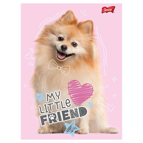 Zeszyt My Little Friend A5 16k. krata Unipap Unipap