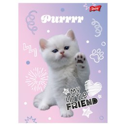 Zeszyt My Little Friend Unipap Unipap