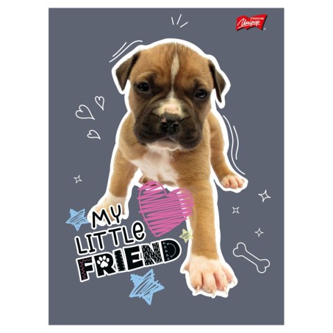 Zeszyt My Little Friend Unipap Unipap