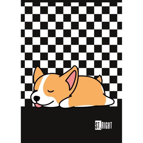 Zeszyt St.Right A4 32k. krata Unipap Unipap