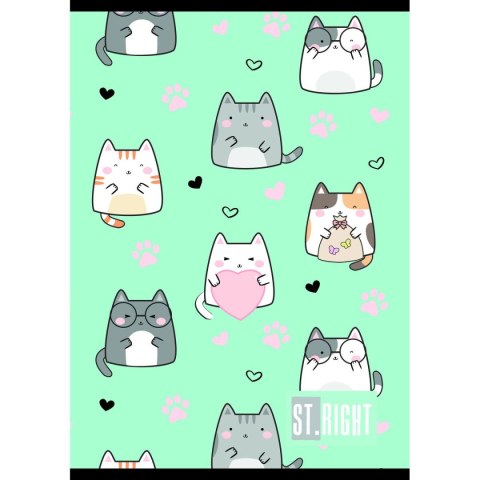 Zeszyt St.Right A5 32k. 70g krata Unipap Unipap