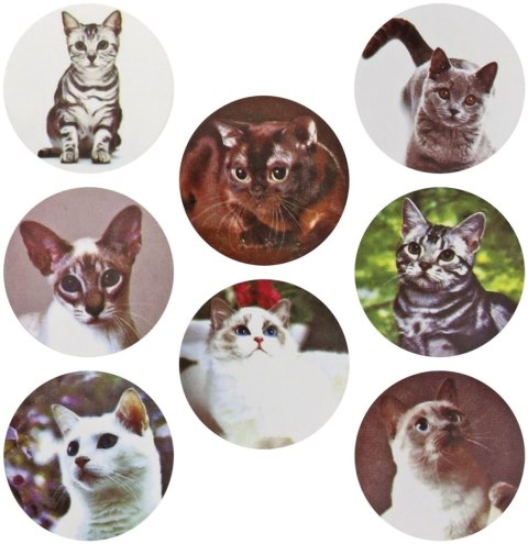 Naklejka (nalepka) Craft-Fun Series Koty Naklejki na rolce Titanum (25JT003) Titanum