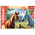 Puzzle Konie na polanie 200 el. Trefl (13328) Trefl
