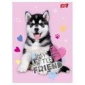 Zeszyt My Little Friend, 1 A5 16k. 70g linia Unipap Unipap