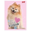 Zeszyt My Little Friend, 1 A5 16k. 70g linia Unipap Unipap