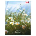 Zeszyt Romantic Meadow A5 60k. 70g linia Unipap Unipap