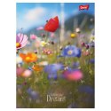 Zeszyt Romantic Meadow A5 60k. 70g linia Unipap Unipap