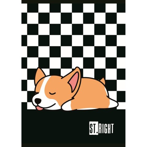 Zeszyt St.Right A4 32k. linia Unipap Unipap