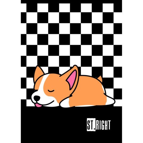 Zeszyt St.Right A4 32k. linia Unipap Unipap