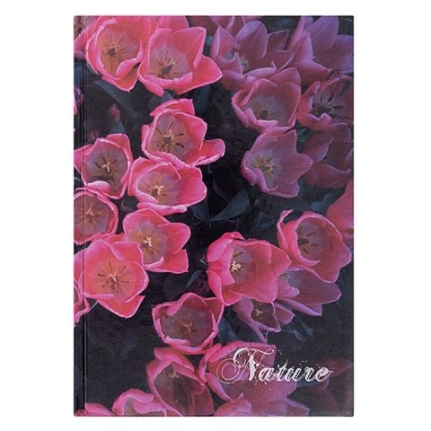 Brulion Nature A5 96k. 55g krata Office Products (16033211-99) Office Products