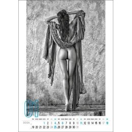 Kalendarz ścienny DERRIERE 12 KARTKOWY 33,8mm x 5000mm Jotan (WP141) Jotan