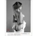 Kalendarz ścienny EROTIC ART wieloplanszowy 350mm x 300mm Jotan (WP147) Jotan