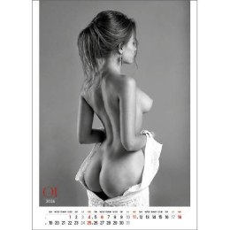 Kalendarz ścienny EROTIC ART wieloplanszowy 350mm x 300mm Jotan (WP147) Jotan