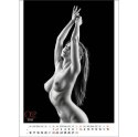 Kalendarz ścienny EROTIC ART wieloplanszowy 350mm x 300mm Jotan (WP147) Jotan
