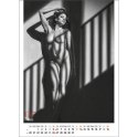 Kalendarz ścienny EROTIC ART wieloplanszowy 350mm x 300mm Jotan (WP147) Jotan