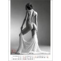 Kalendarz ścienny EROTIC ART wieloplanszowy 350mm x 300mm Jotan (WP147) Jotan