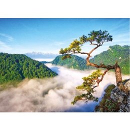 Kalendarz ścienny Limba na Sokolnicy trójdzielne 320mm x 855mm Jotan (t54) Jotan