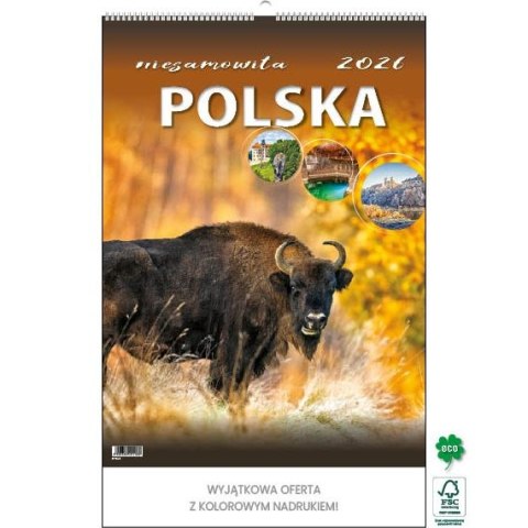 Kalendarz ścienny NIESAMOWITA POLSKA wieloplanszowy 330mm x 500mm Jotan (WP116) Jotan