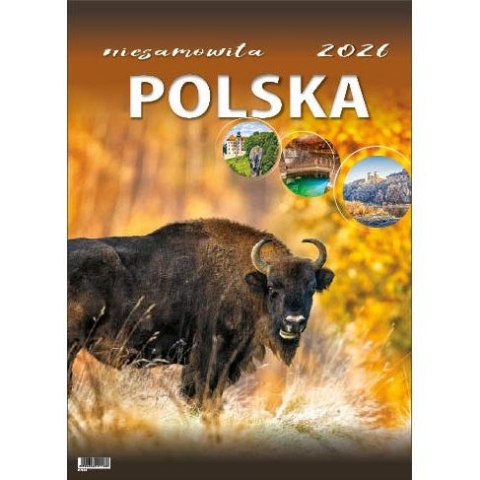 Kalendarz ścienny NIESAMOWITA POLSKA wieloplanszowy 330mm x 500mm Jotan (WP116) Jotan