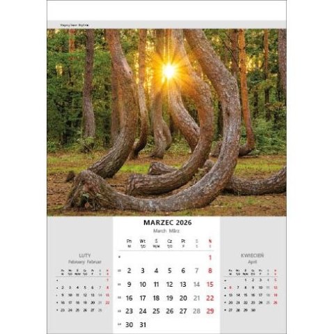 Kalendarz ścienny NIESAMOWITA POLSKA wieloplanszowy 330mm x 500mm Jotan (WP116) Jotan