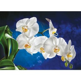 Kalendarz ścienny Orchidea TRÓJDZIELNY Jotan (T45) Jotan