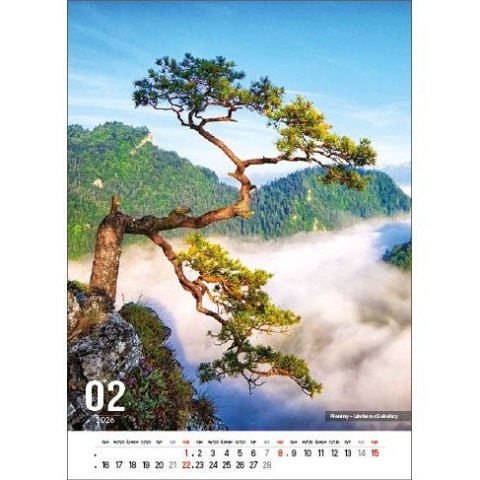 Kalendarz ścienny POLSKIE GÓRY 13-kartkowe- 330mm x 500mm Jotan (W117) Jotan