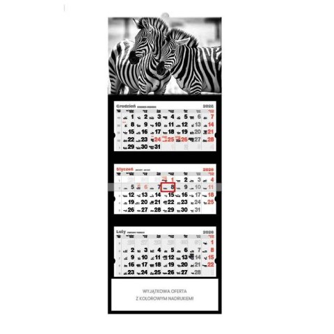 Kalendarz ścienny ZEBRY trójdzielne 320mm x 855mm Jotan (T61) Jotan