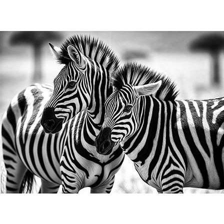 Kalendarz ścienny ZEBRY trójdzielne 320mm x 855mm Jotan (T61) Jotan