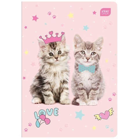 Zeszyt PP MAGICZNY A5 16k. 70g KRATKA