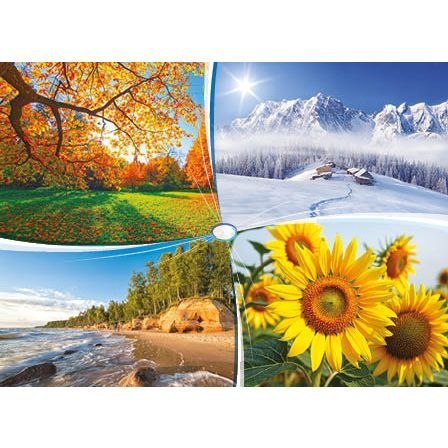 Kalendarz ścienny 4 PORY ROKU trójdzielny Jotan (T39) Jotan