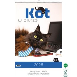 Kalendarz ścienny KOT W BIURZE WIELOPLANSZOWY A3 Jotan (WP136) Jotan