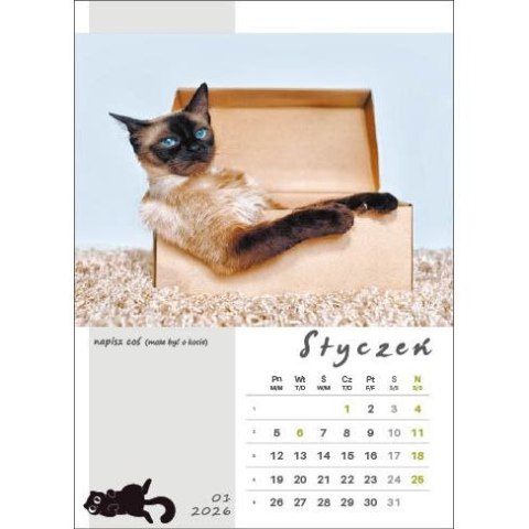 Kalendarz ścienny KOT W BIURZE WIELOPLANSZOWY A3 Jotan (WP136) Jotan