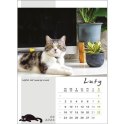 Kalendarz ścienny KOT W BIURZE WIELOPLANSZOWY A3 Jotan (WP136) Jotan