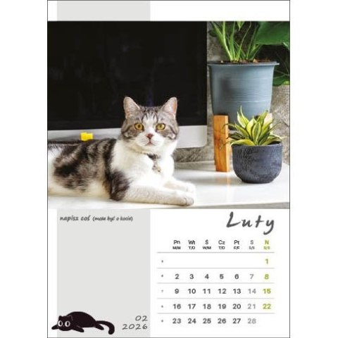 Kalendarz ścienny KOT W BIURZE WIELOPLANSZOWY A3 Jotan (WP136) Jotan