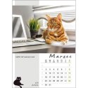 Kalendarz ścienny KOT W BIURZE WIELOPLANSZOWY A3 Jotan (WP136) Jotan