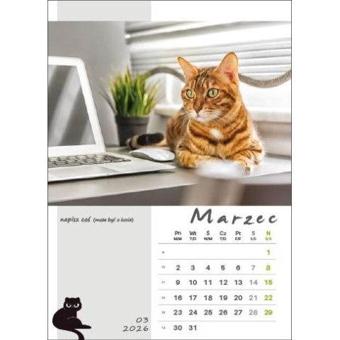 Kalendarz ścienny KOT W BIURZE WIELOPLANSZOWY A3 Jotan (WP136) Jotan