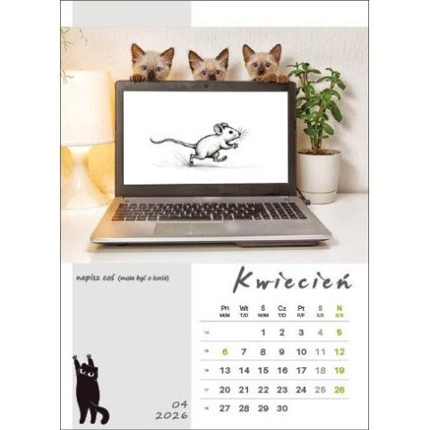 Kalendarz ścienny KOT W BIURZE WIELOPLANSZOWY A3 Jotan (WP136) Jotan