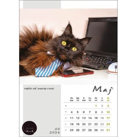 Kalendarz ścienny KOT W BIURZE WIELOPLANSZOWY A3 Jotan (WP136) Jotan