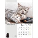 Kalendarz ścienny KOT W BIURZE WIELOPLANSZOWY A3 Jotan (WP136) Jotan
