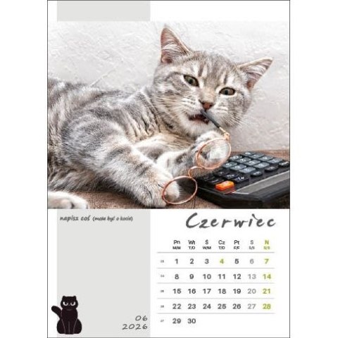 Kalendarz ścienny KOT W BIURZE WIELOPLANSZOWY A3 Jotan (WP136) Jotan