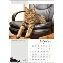 Kalendarz ścienny KOT W BIURZE WIELOPLANSZOWY A3 Jotan (WP136) Jotan
