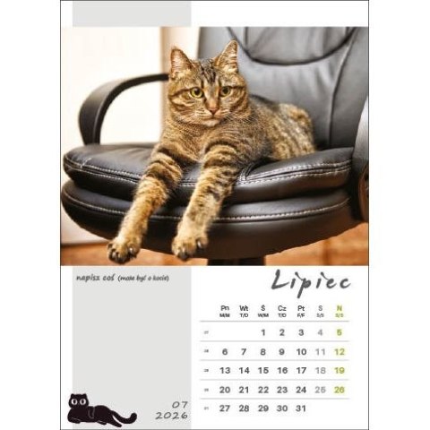 Kalendarz ścienny KOT W BIURZE WIELOPLANSZOWY A3 Jotan (WP136) Jotan