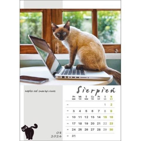 Kalendarz ścienny KOT W BIURZE WIELOPLANSZOWY A3 Jotan (WP136) Jotan