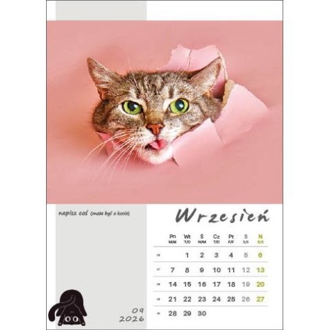 Kalendarz ścienny KOT W BIURZE WIELOPLANSZOWY A3 Jotan (WP136) Jotan