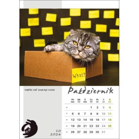 Kalendarz ścienny KOT W BIURZE WIELOPLANSZOWY A3 Jotan (WP136) Jotan